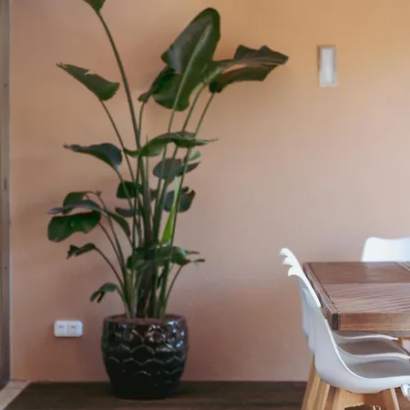 Salgados Premium By Da'home 别墅 阿尔布费拉