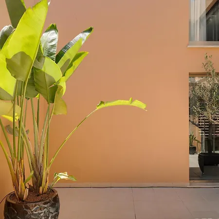 Salgados Premium By Da'home 别墅 *