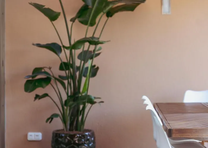 Salgados Premium By Da'home 빌라 알부페이라